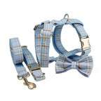 Blue Plaid