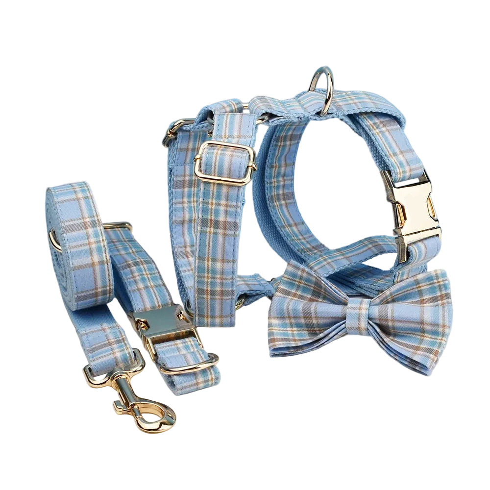 Blue Plaid