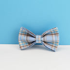 Blue Plaid