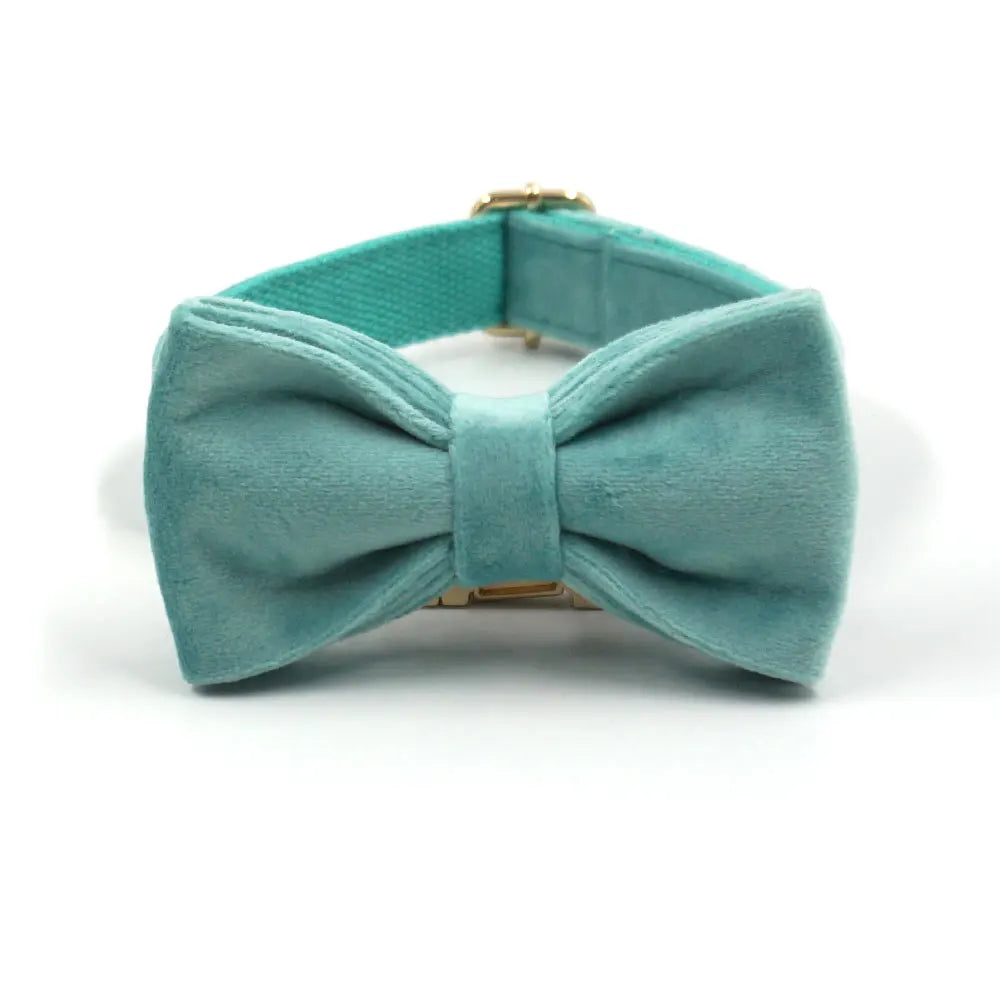 Tiffany Blue Velvet
