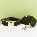 Green Teddy