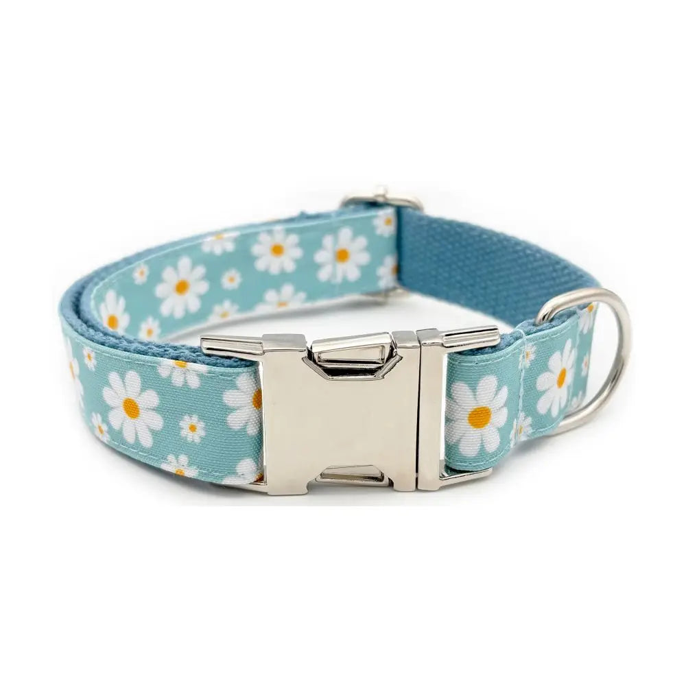 Blue Daisy