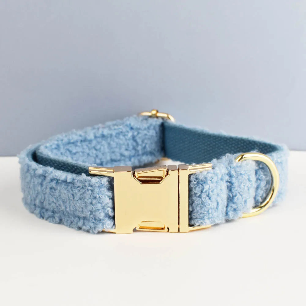 Blue Teddy