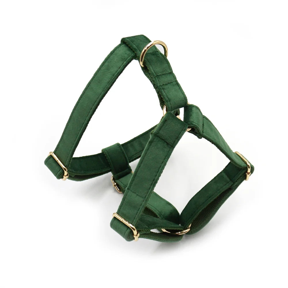 Peacock Green Velvet