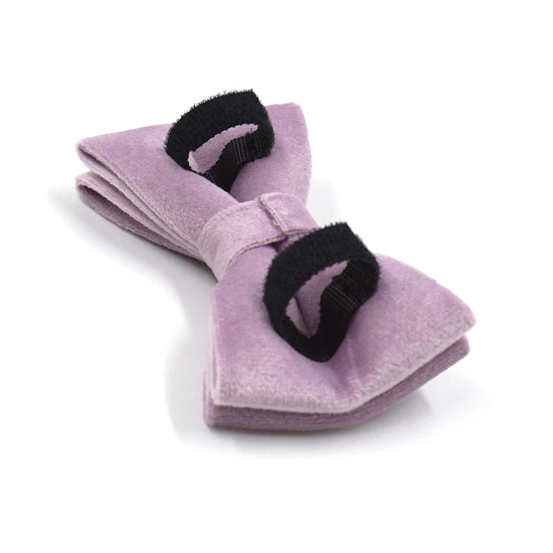 Pink Purple Velvet