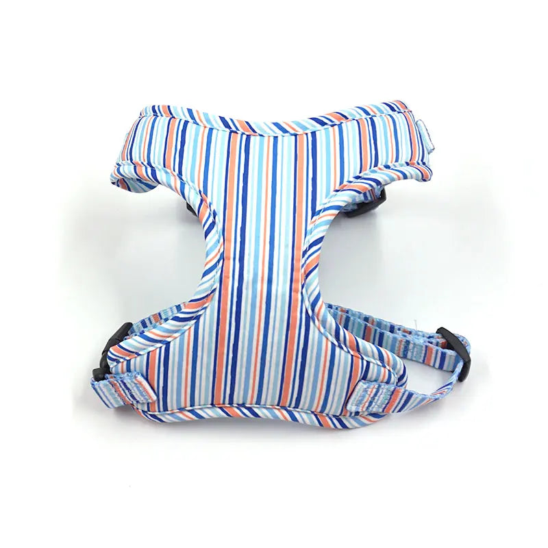 Coastal Stripe