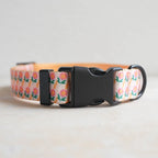 Collars