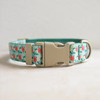 Collars