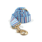 Coastal Stripe