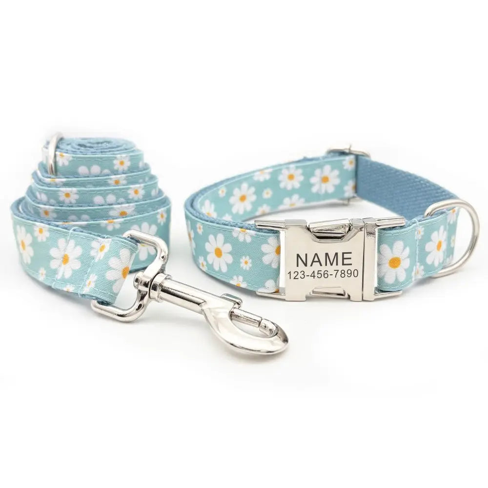 Blue Daisy