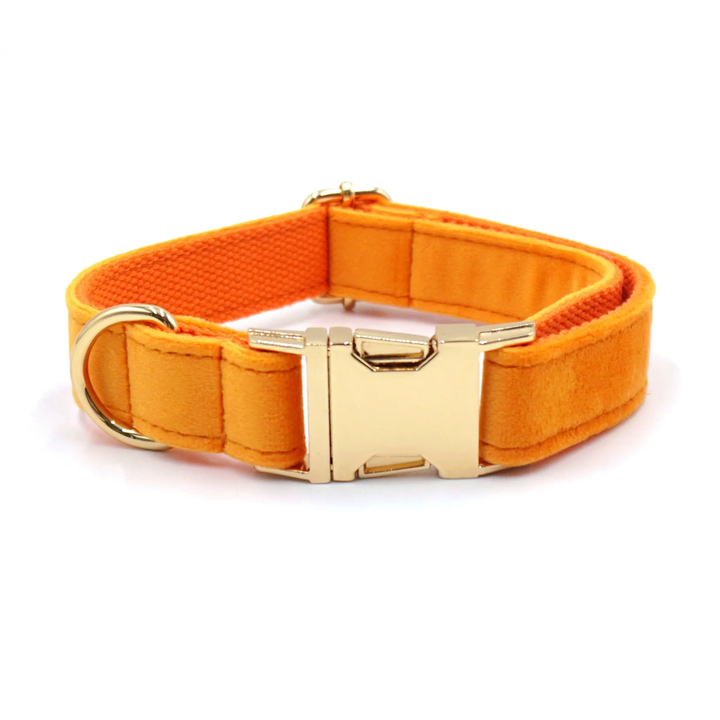 Orange Velvet + Rope
