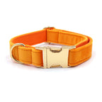 Orange Velvet + Rope