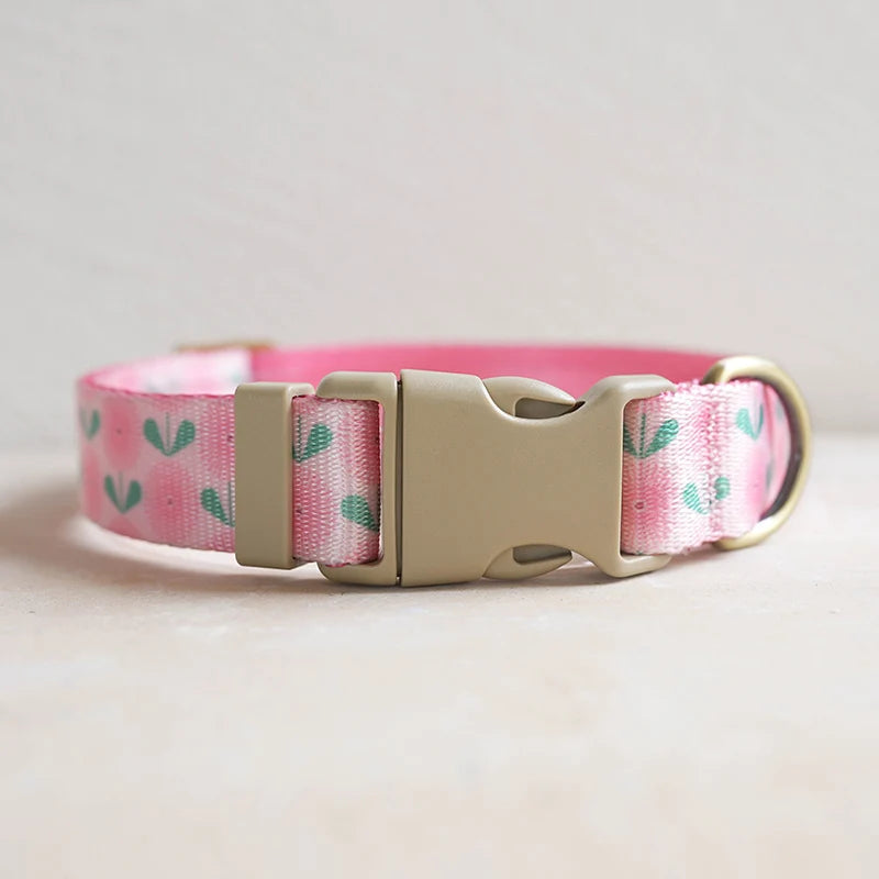 Collars