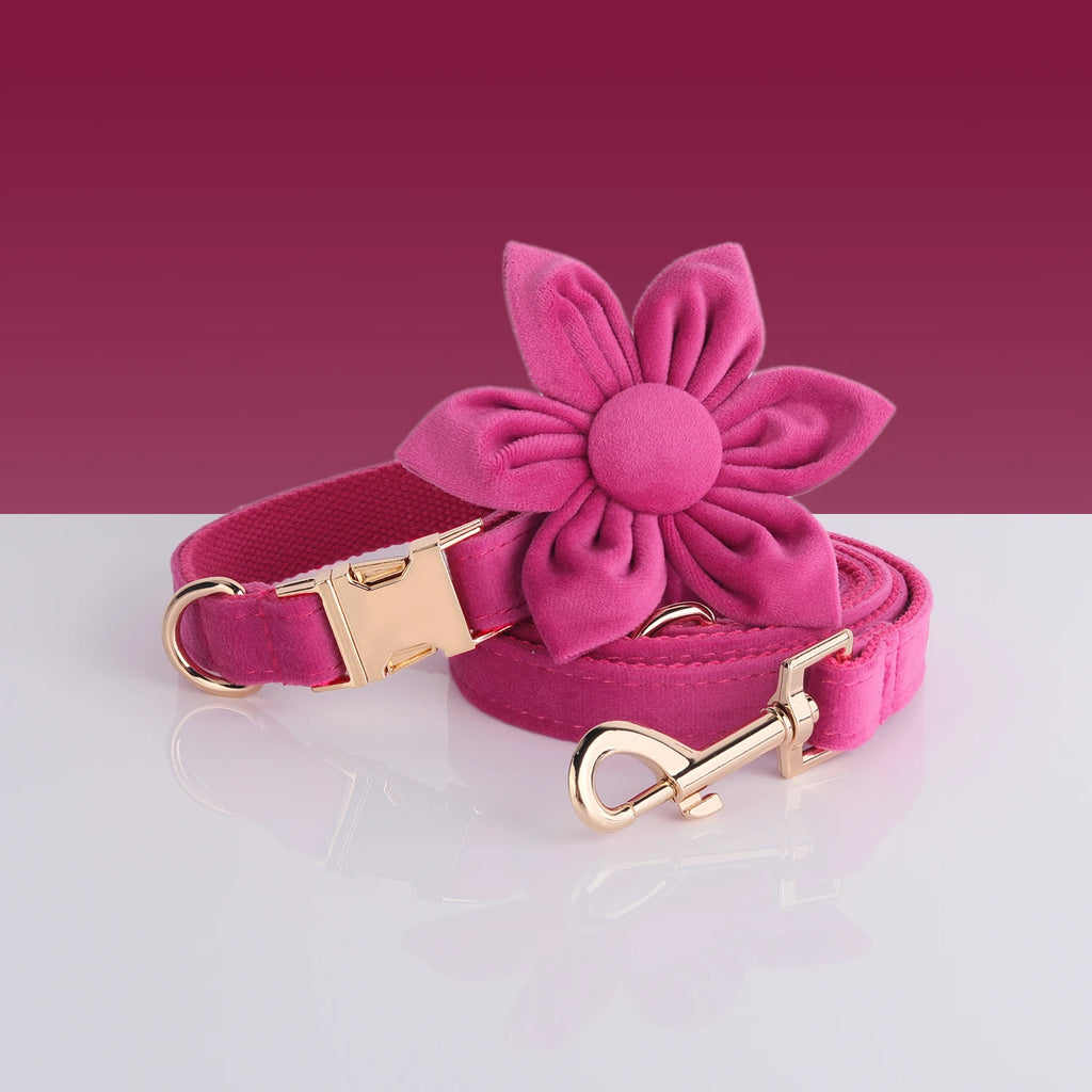 Fuchsia Velvet