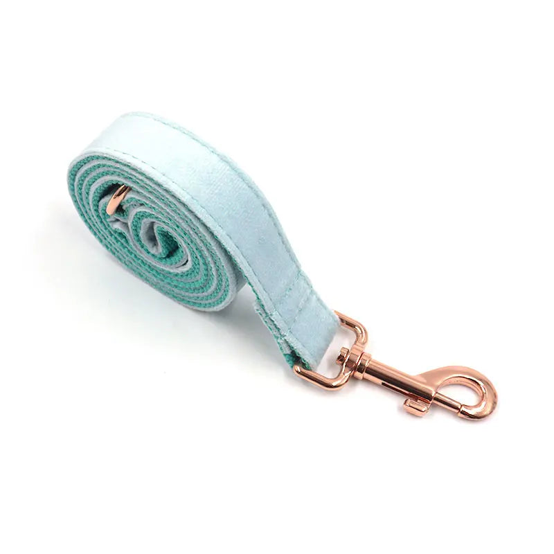 Turquoise Velvet
