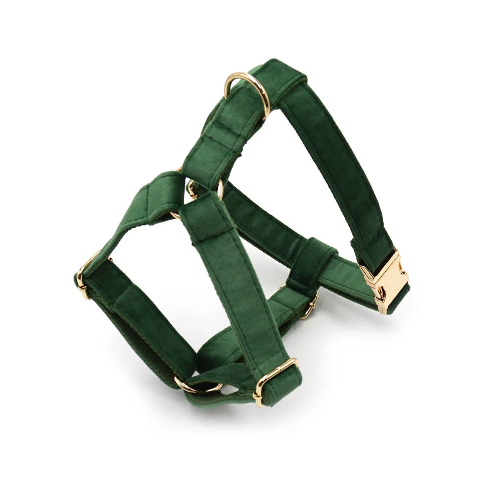 Peacock Green Velvet
