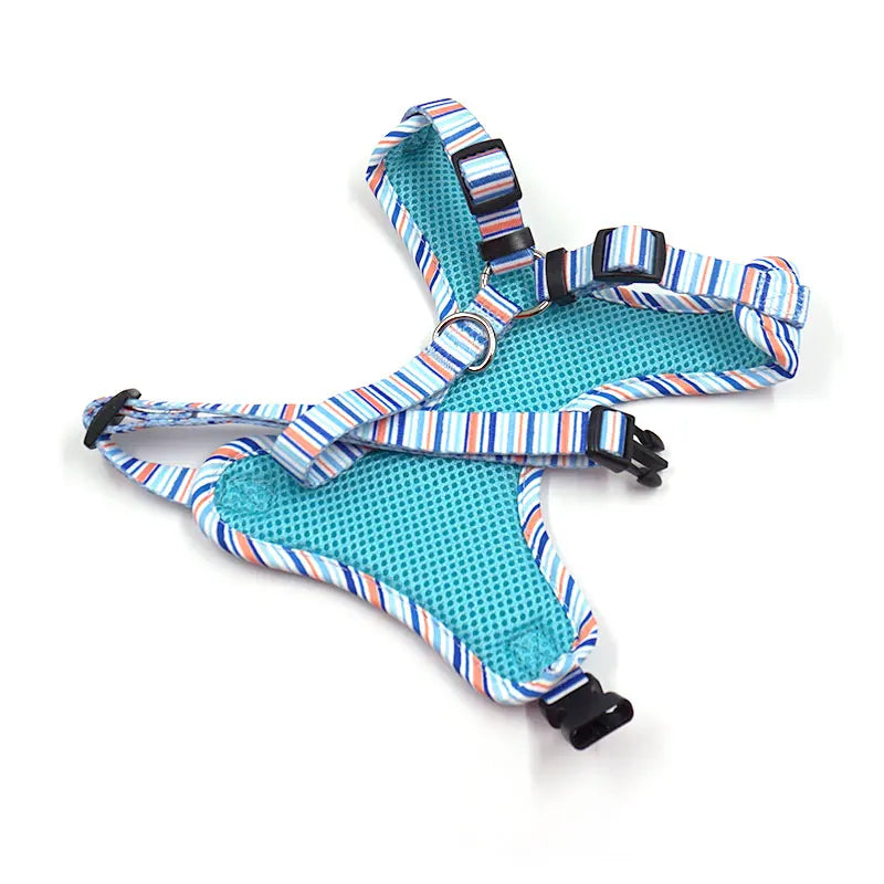 Coastal Stripe