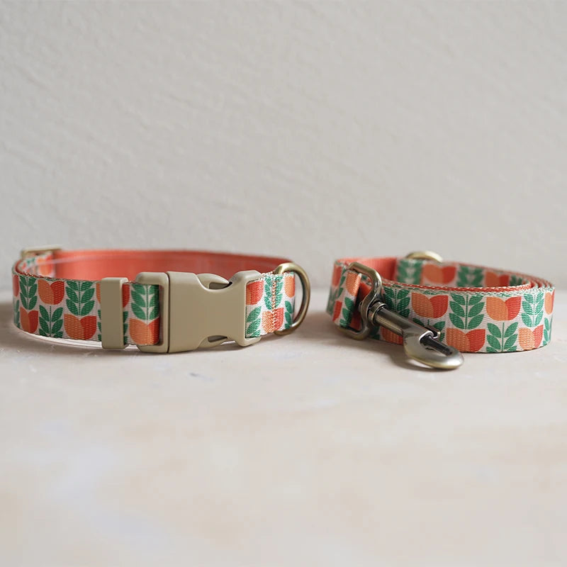 Collar + Leash Sets