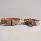 Collar + Leash Sets