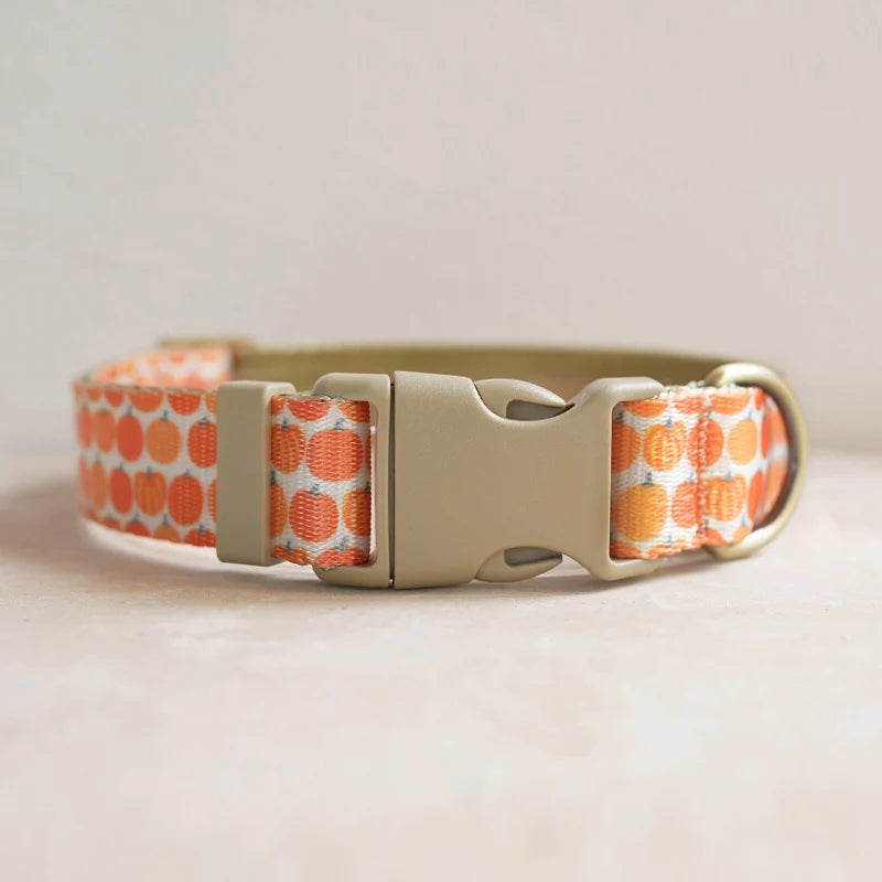 Collars