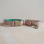 Collar + Leash Sets