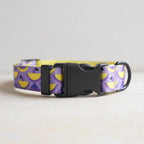 Collars