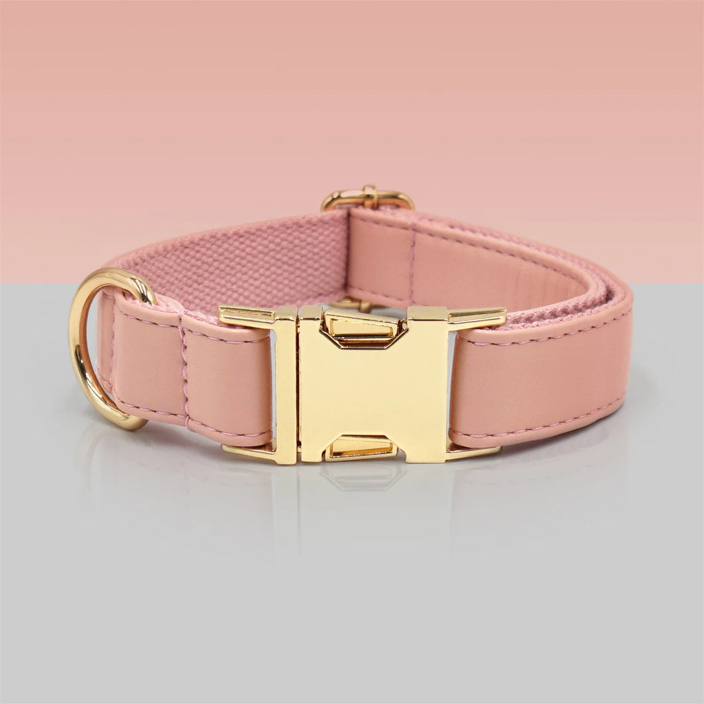 Pink Leather + Rope