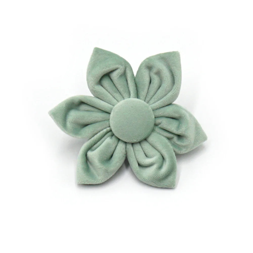 Mint Pink Velvet