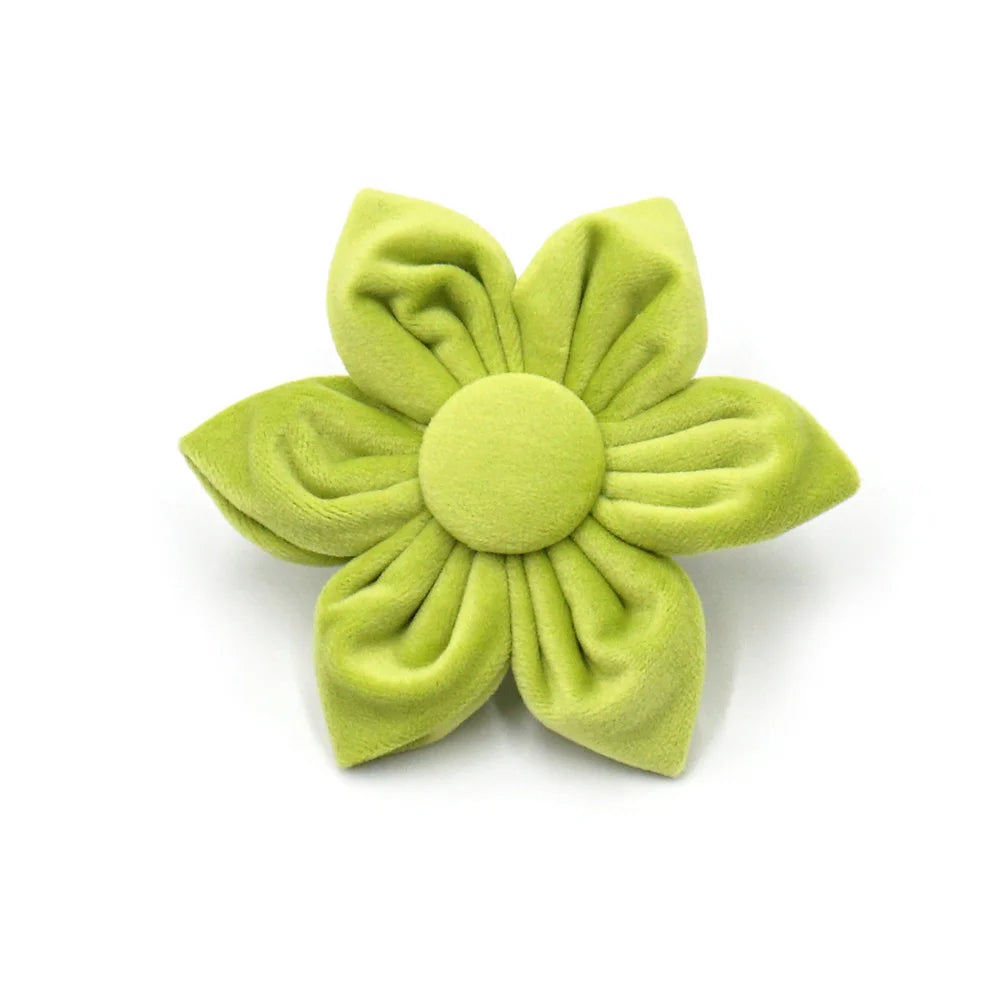 Avocado Green Velvet