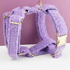 Purple Teddy