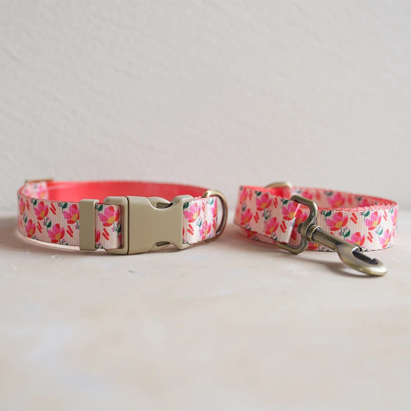 Collar + Leash Sets