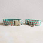 Collar + Leash Sets