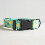 Collars