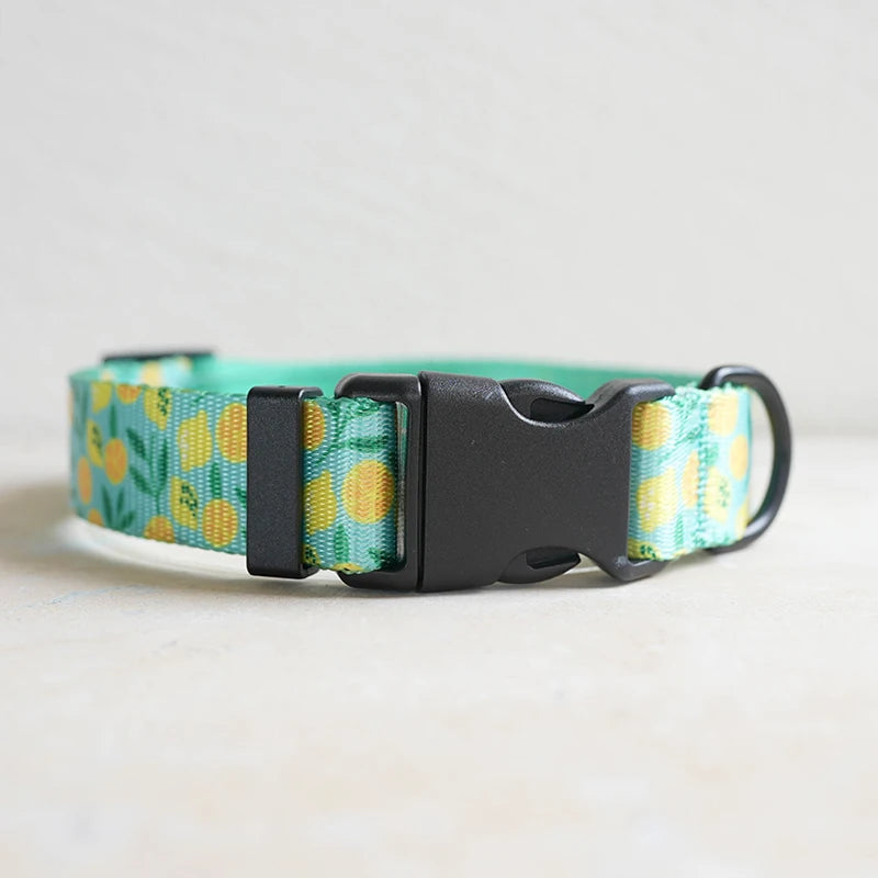 Collars
