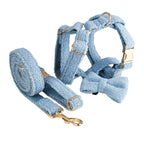 Blue Teddy