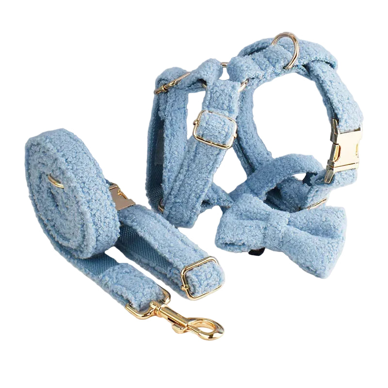 Blue Teddy