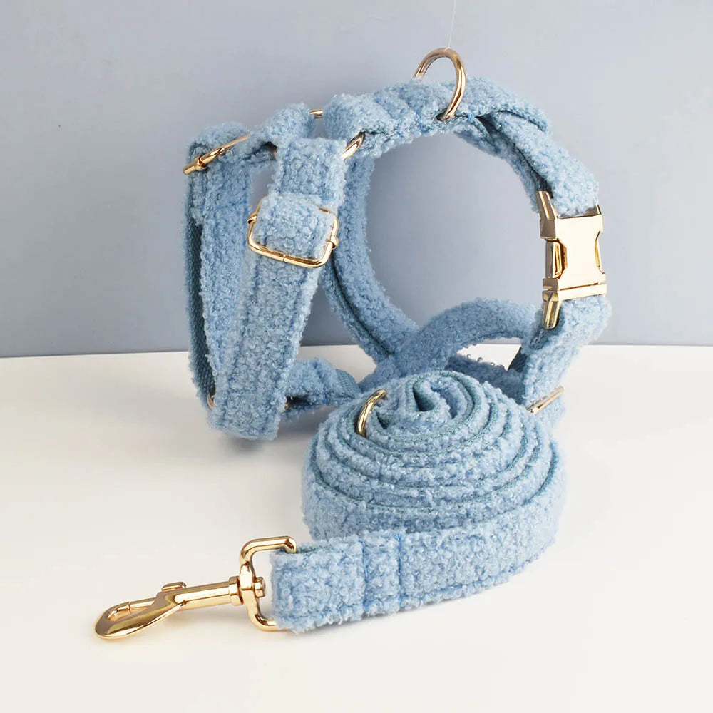 Blue Teddy