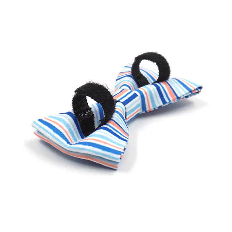 Coastal Stripe