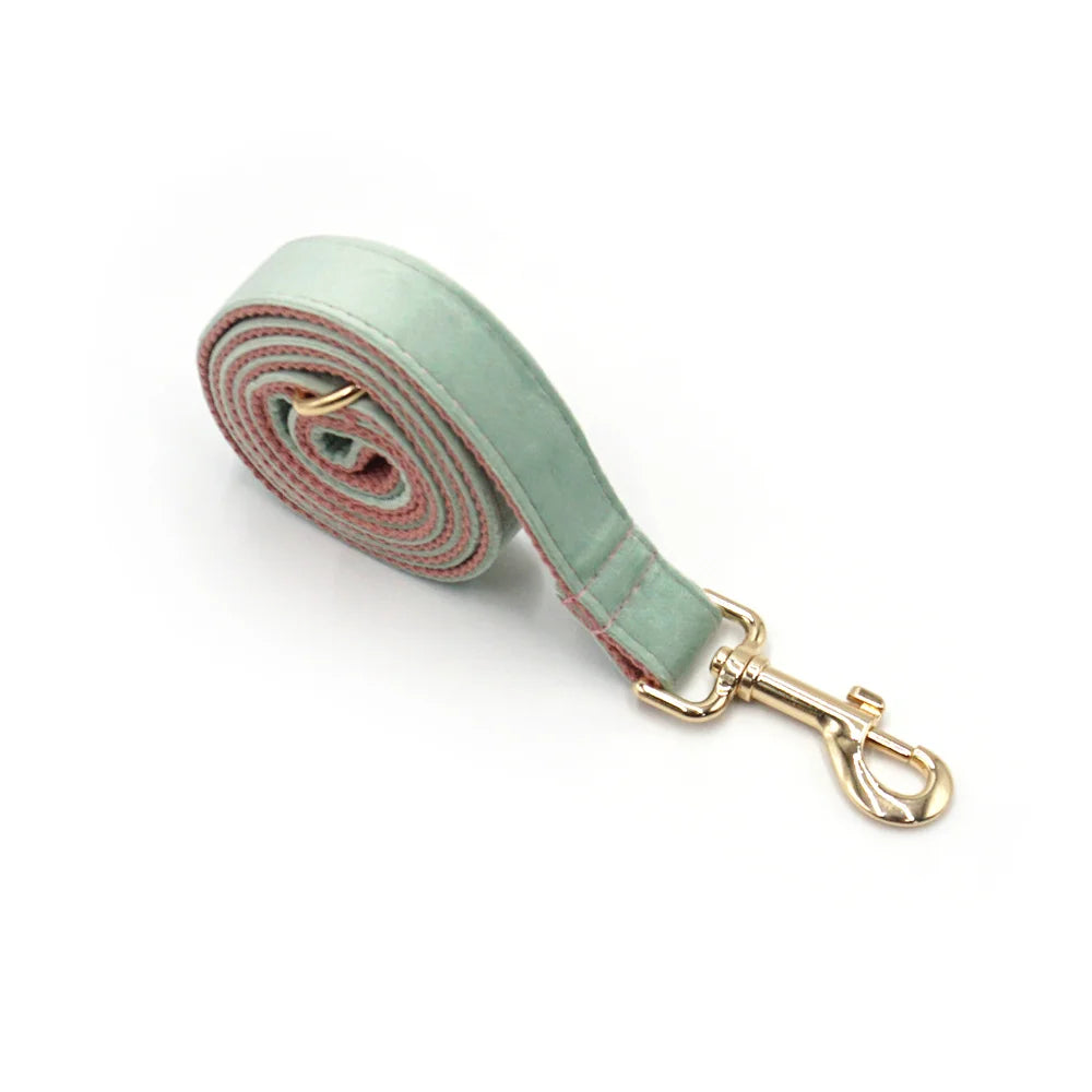 Mint Pink Velvet