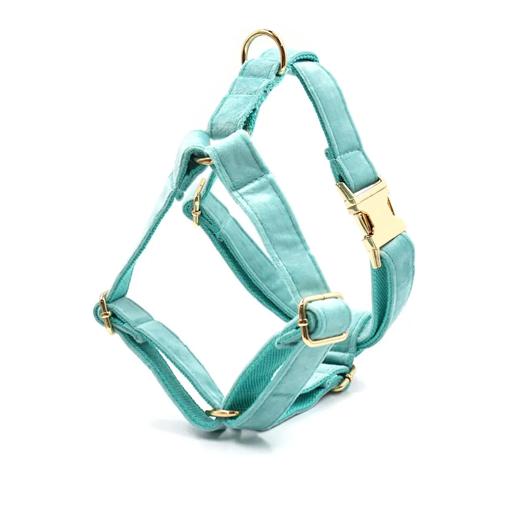 Tiffany Blue Velvet