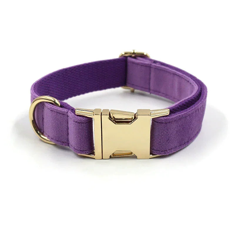 Purple Velvet + Rope