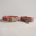 Collar + Leash Sets