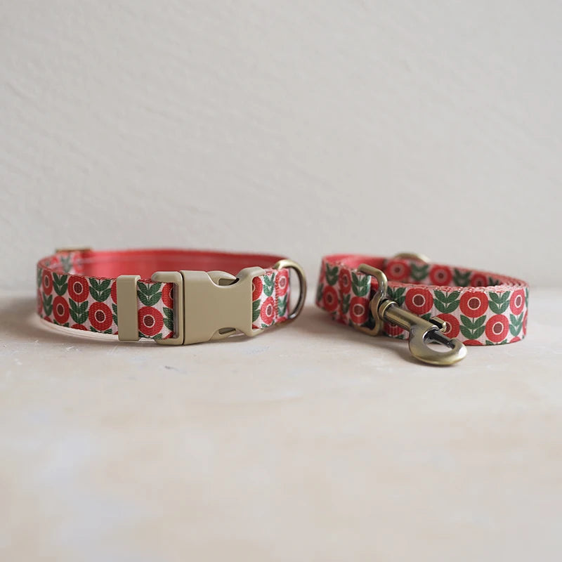 Collar + Leash Sets
