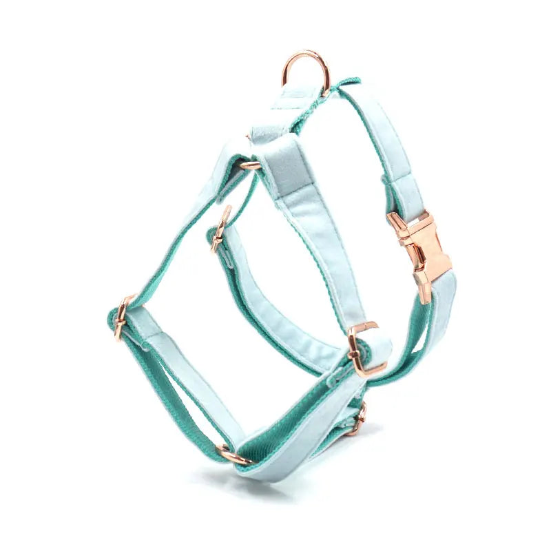 Turquoise Velvet