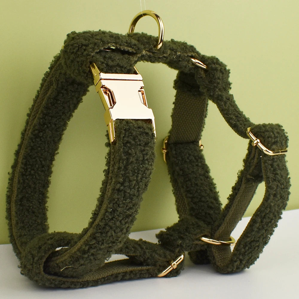 Green Teddy