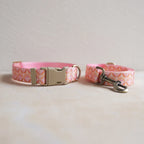 Collar + Leash Sets