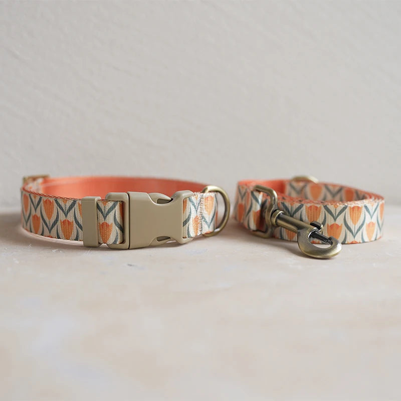 Collar + Leash Sets