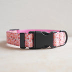 Collars