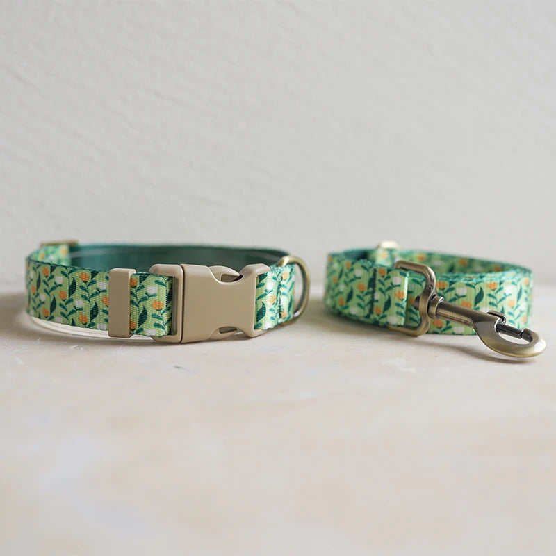 Collar + Leash Sets