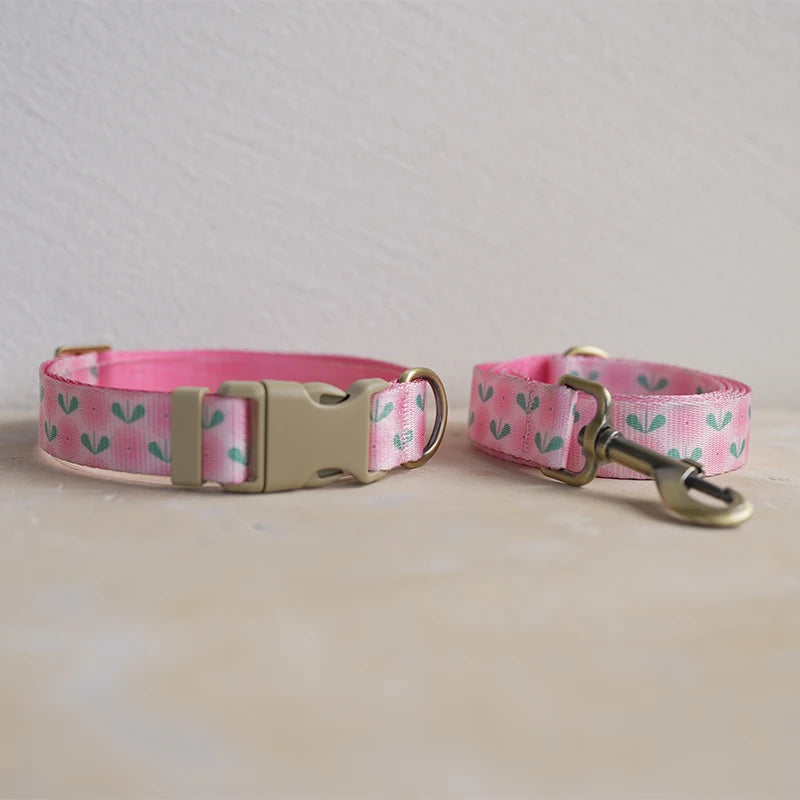 Collar + Leash Sets
